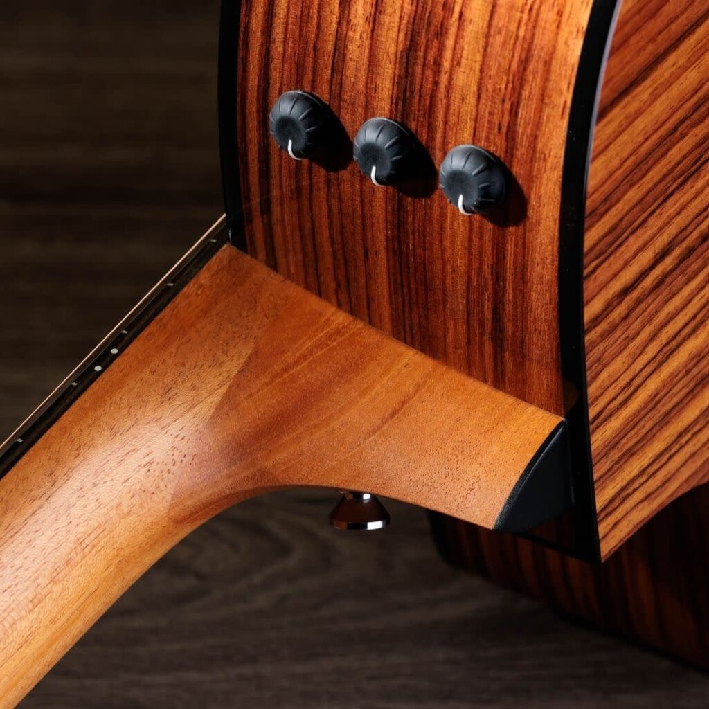 Taylor Guitars Taylor 254ce Plus 12 String
