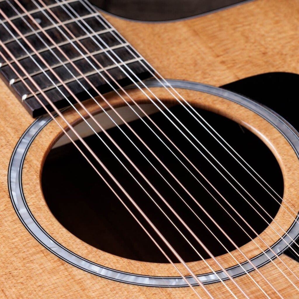 Taylor Guitars Taylor 254ce Plus 12 String
