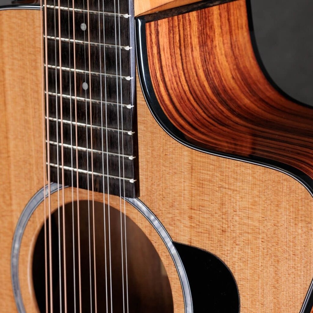 Taylor Guitars Taylor 254ce Plus 12 String