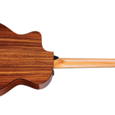 Taylor Guitars Taylor 254ce Plus 12 String