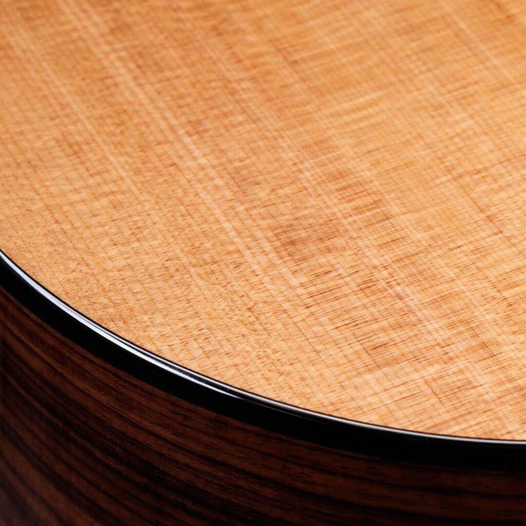 Taylor Guitars Taylor 254ce Plus 12 String