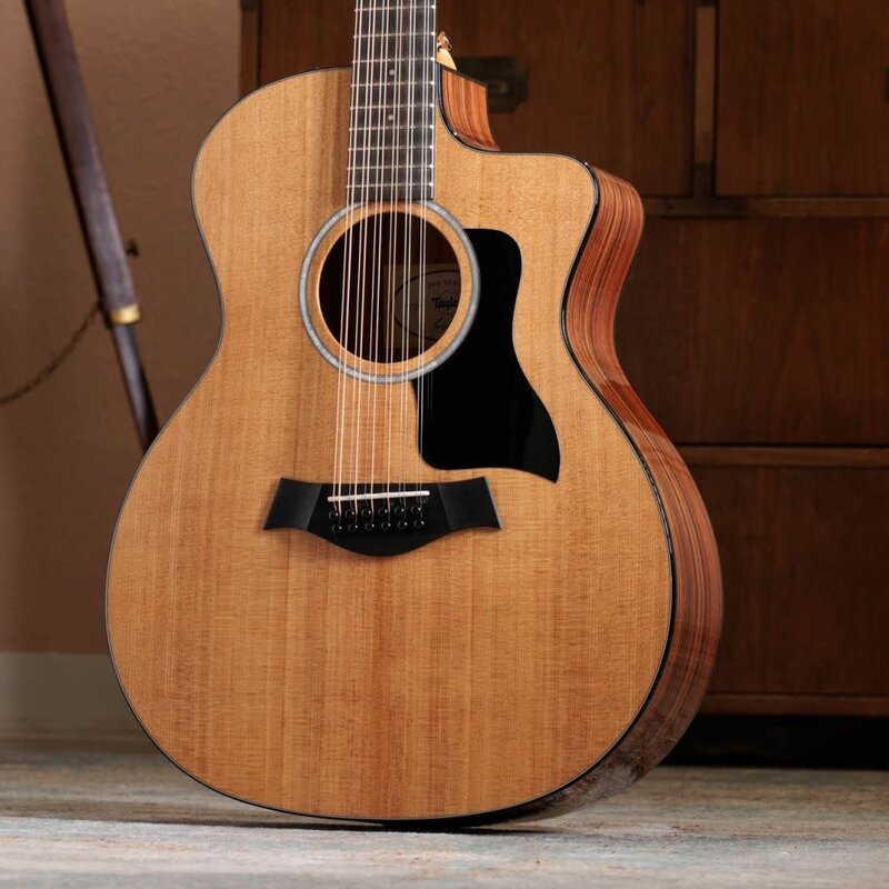 Taylor Guitars Taylor 254ce Plus 12 String