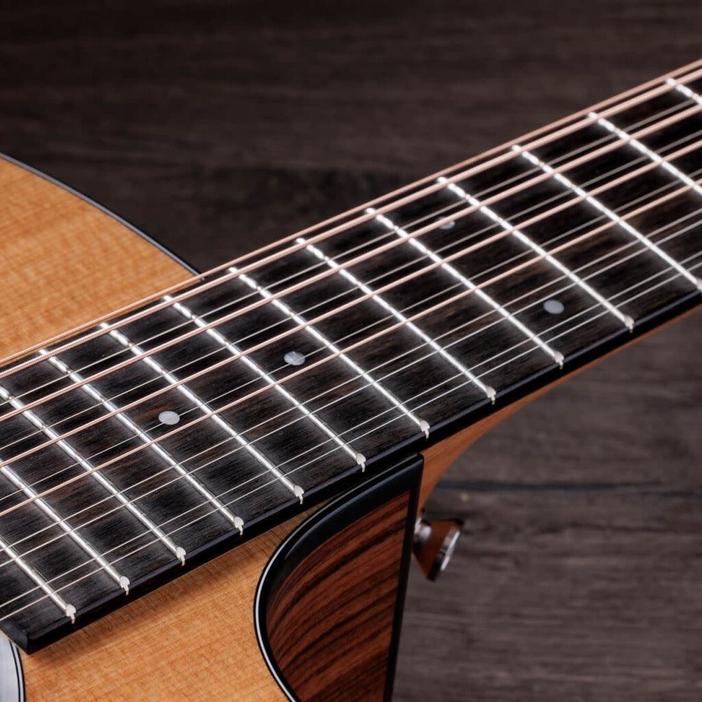 Taylor Guitars Taylor 254ce Plus 12 String