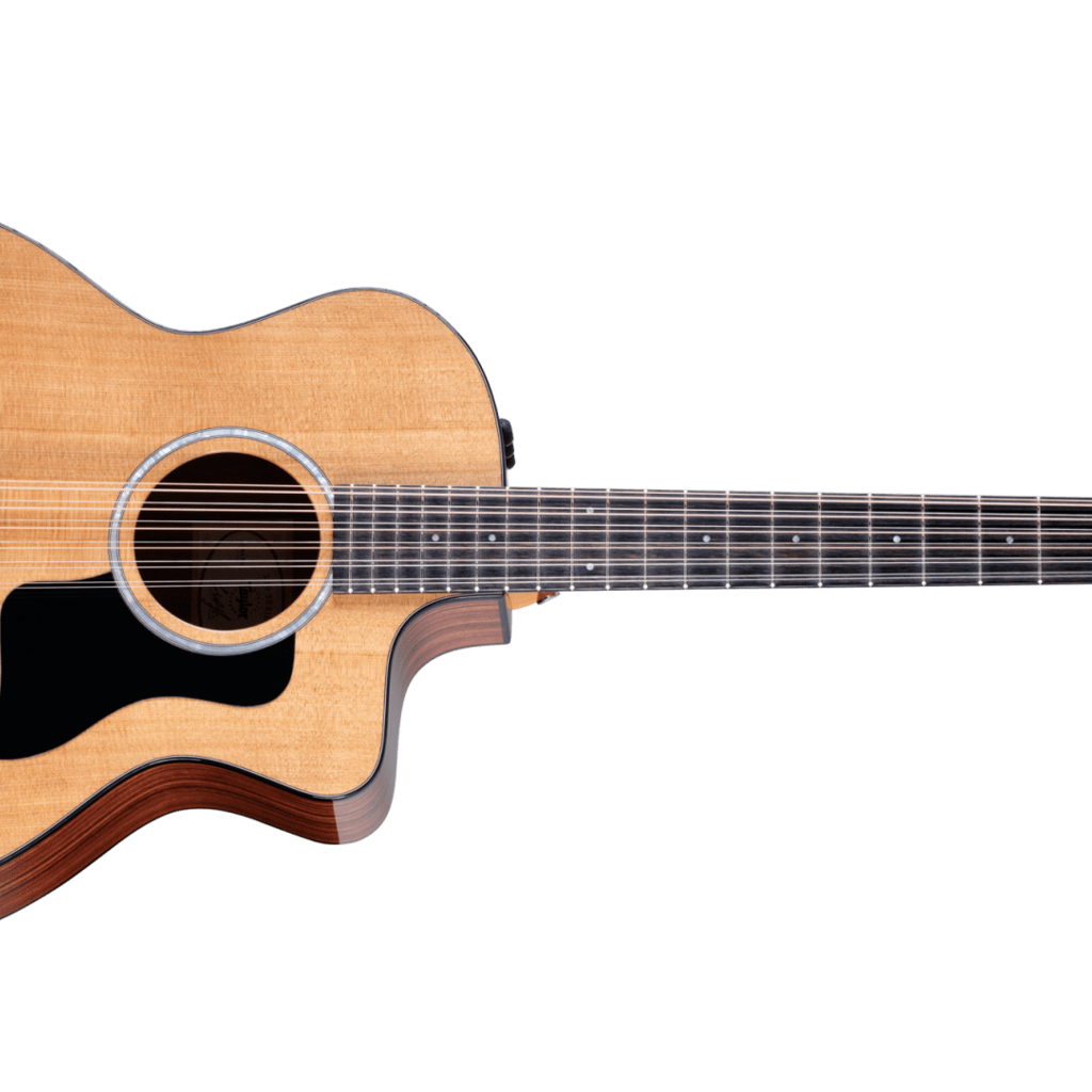 Taylor Guitars Taylor 254ce Plus 12 String