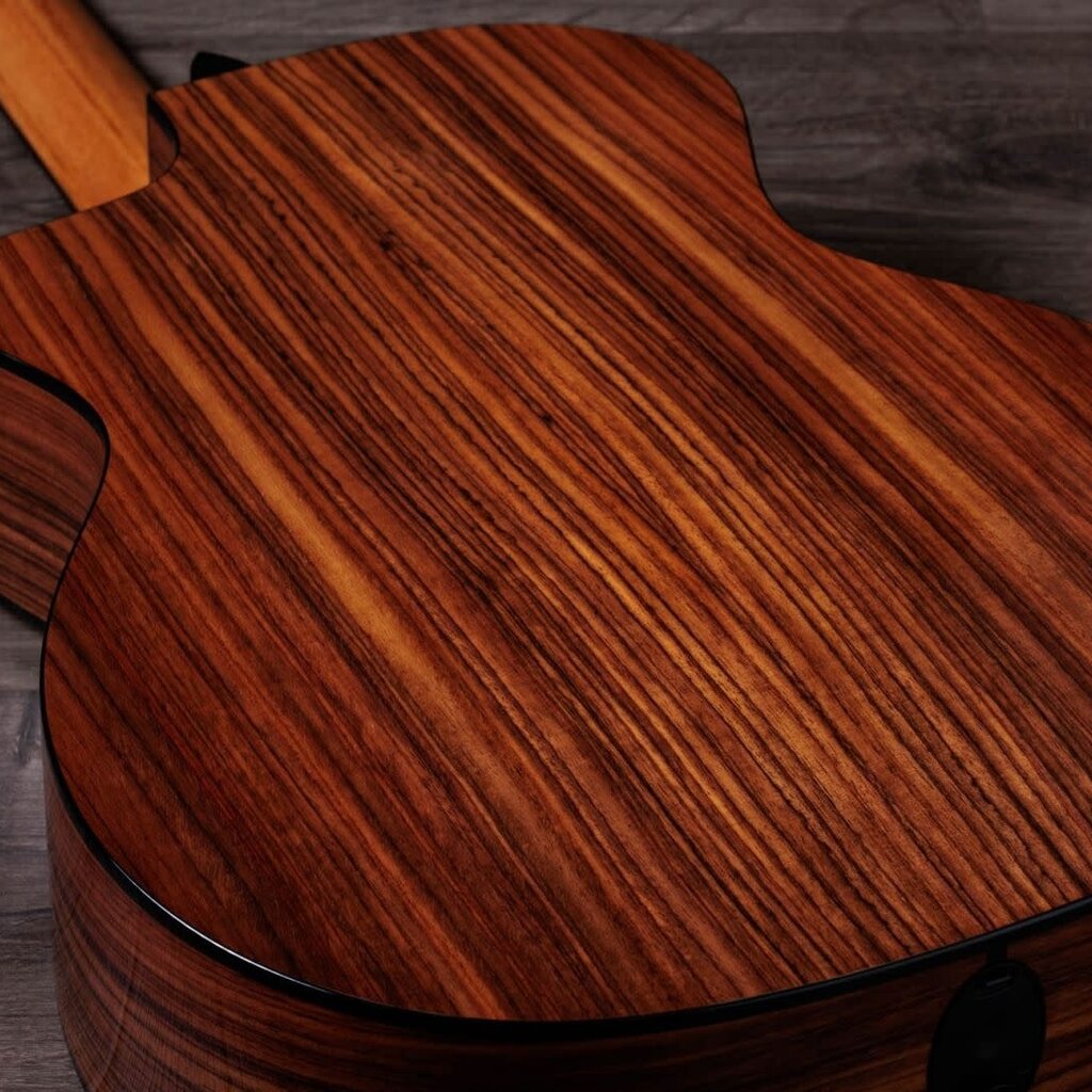 Taylor Guitars Taylor 254ce Plus 12 String