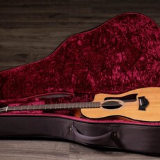 Taylor Guitars Taylor 254ce Plus 12 String