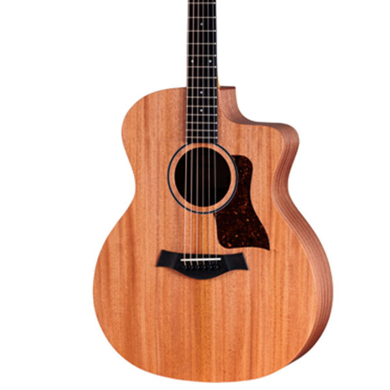 Taylor Guitars Taylor 24ce Acoustic Guitar w/bag