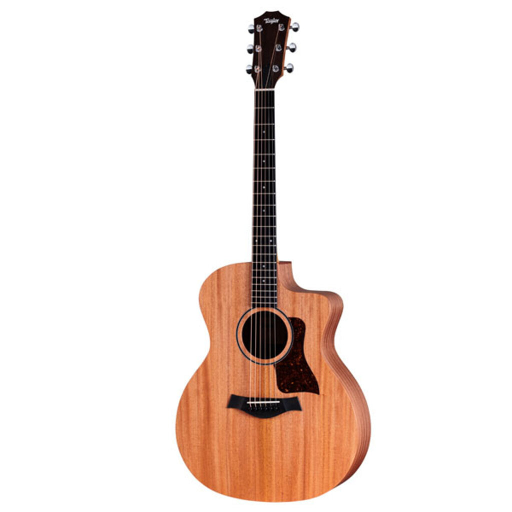 Taylor Guitars Taylor 24ce Acoustic Guitar w/bag