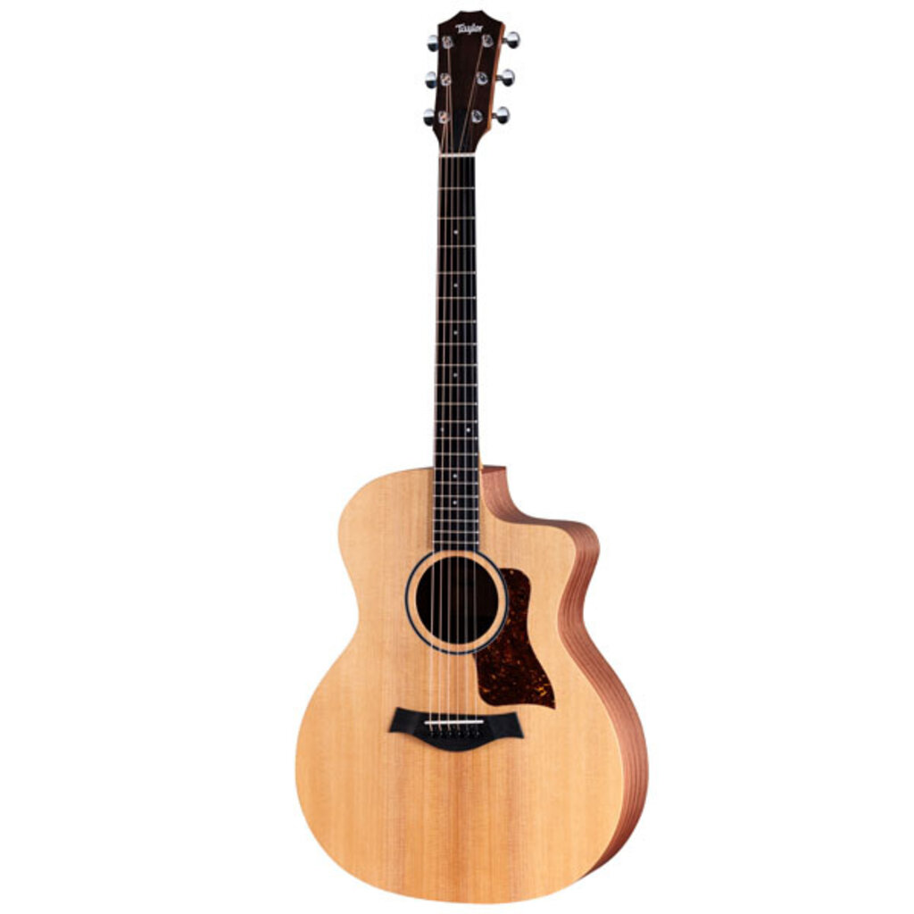 Taylor Guitars Taylor 14ce Acoustic Guitar w/bag
