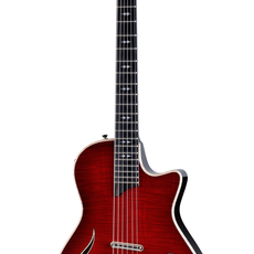 Taylor Guitars Taylor T5z Pro Cayenne Red