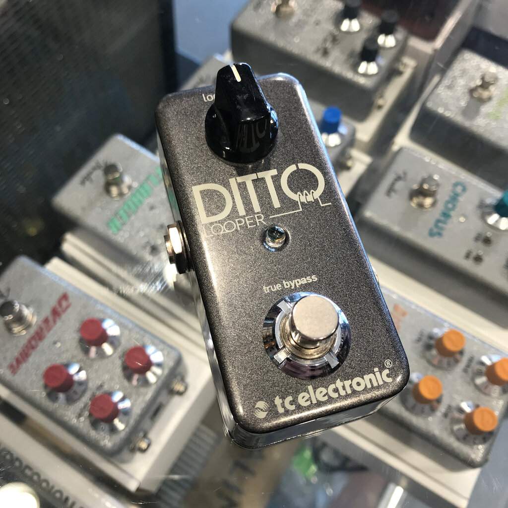 Consignment/Used TC Electronics Ditto Looper