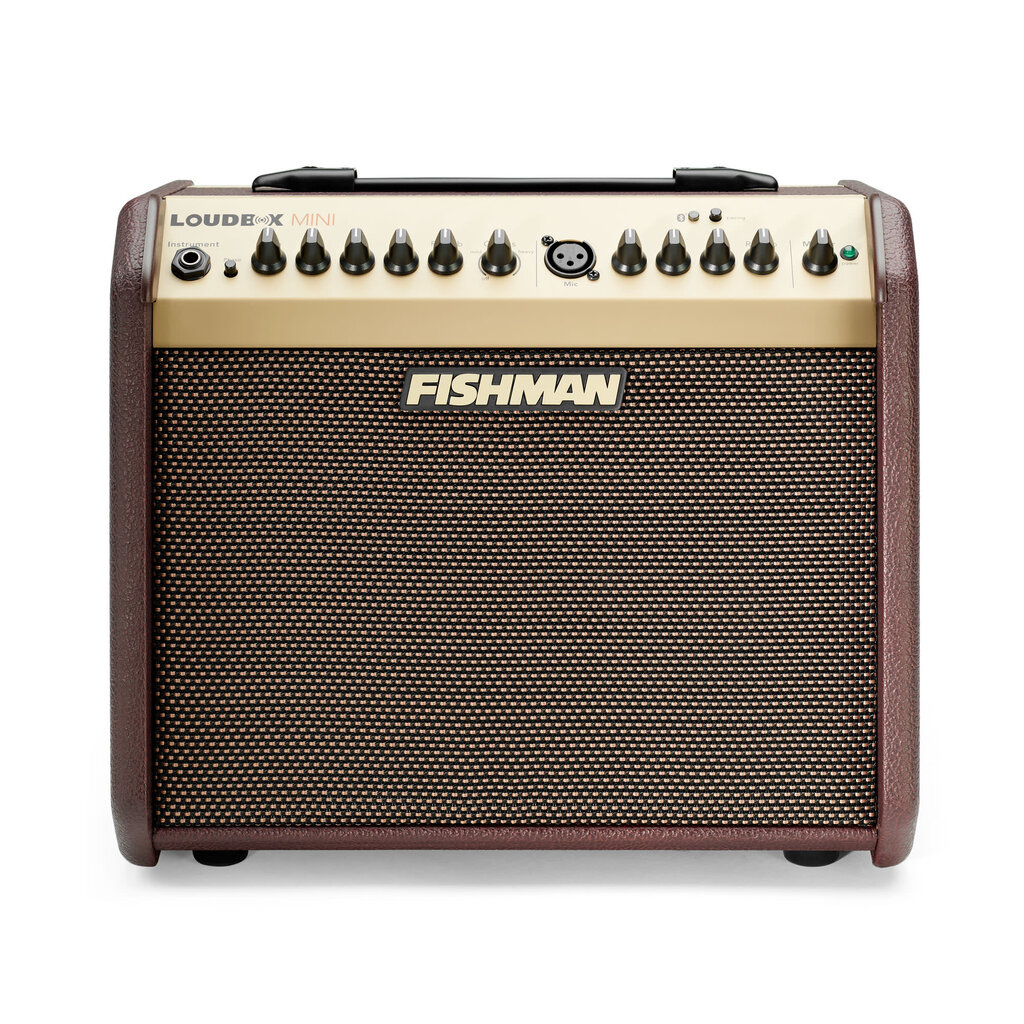 Fishman Loudbox Mini 60 watts