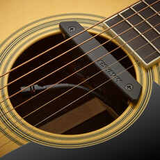 Fishman Rare Earth Mic Blend