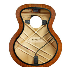 Fishman Matrix Infinity Mic Blend with wide format Pickup