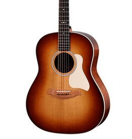 Taylor Guitars Taylor Gold Label 517e SB (Cream Pickguard)