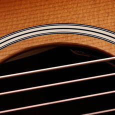 Taylor Guitars Taylor Gold Label 517e SB (Cream Pickguard)