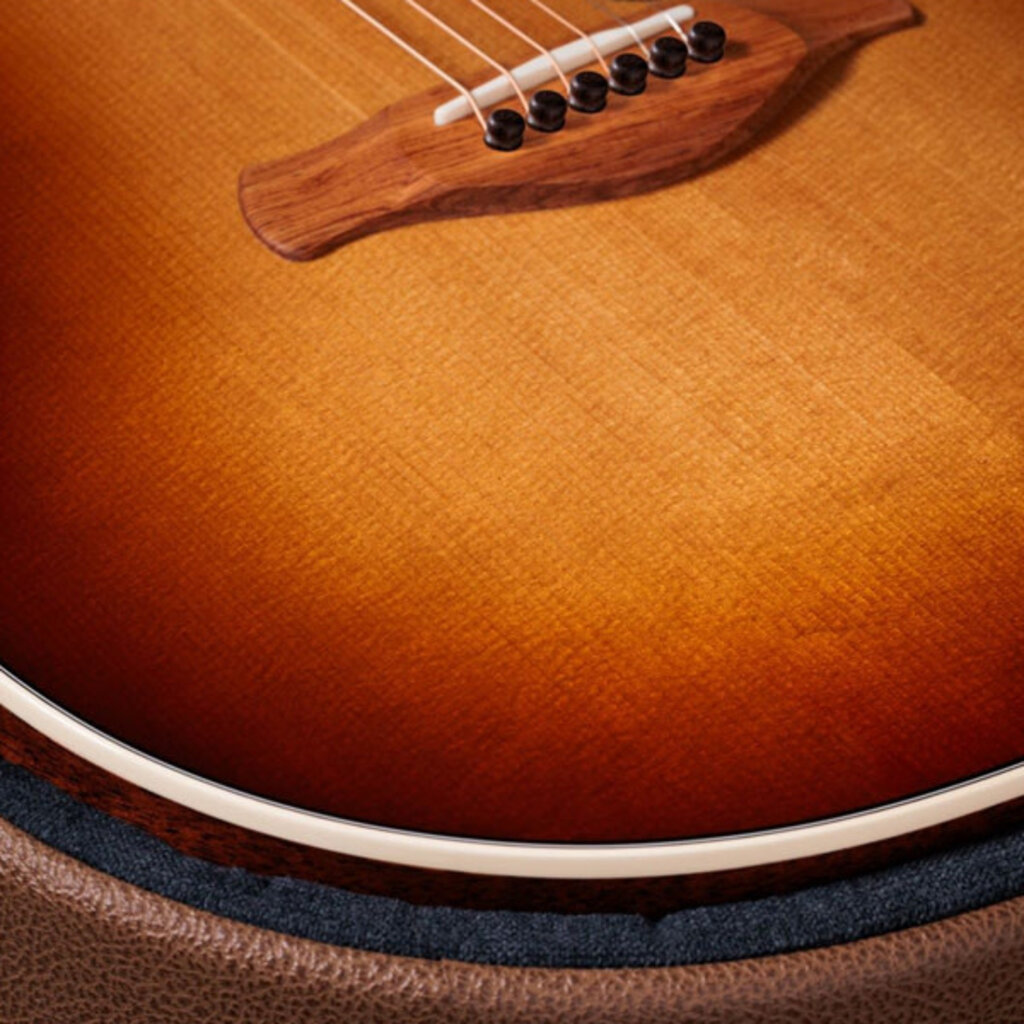 Taylor Guitars Taylor Gold Label 517e SB (Cream Pickguard)