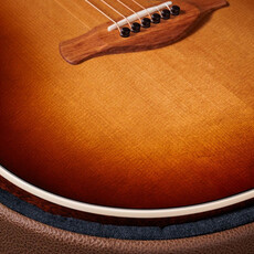 Taylor Guitars Taylor Gold Label 517e SB (Cream Pickguard)