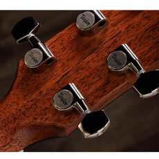 Taylor Guitars Taylor Gold Label 517e Blacktop (Cream Pickguard)