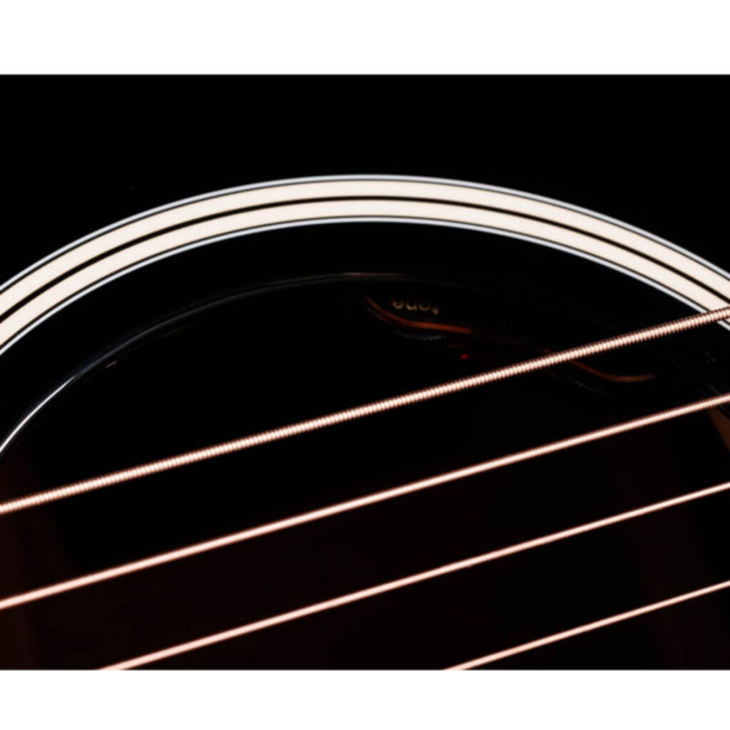 Taylor Guitars Taylor Gold Label 517e Blacktop (Cream Pickguard)