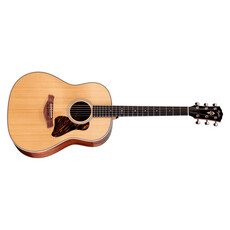 Taylor Guitars Taylor Gold Label 517e