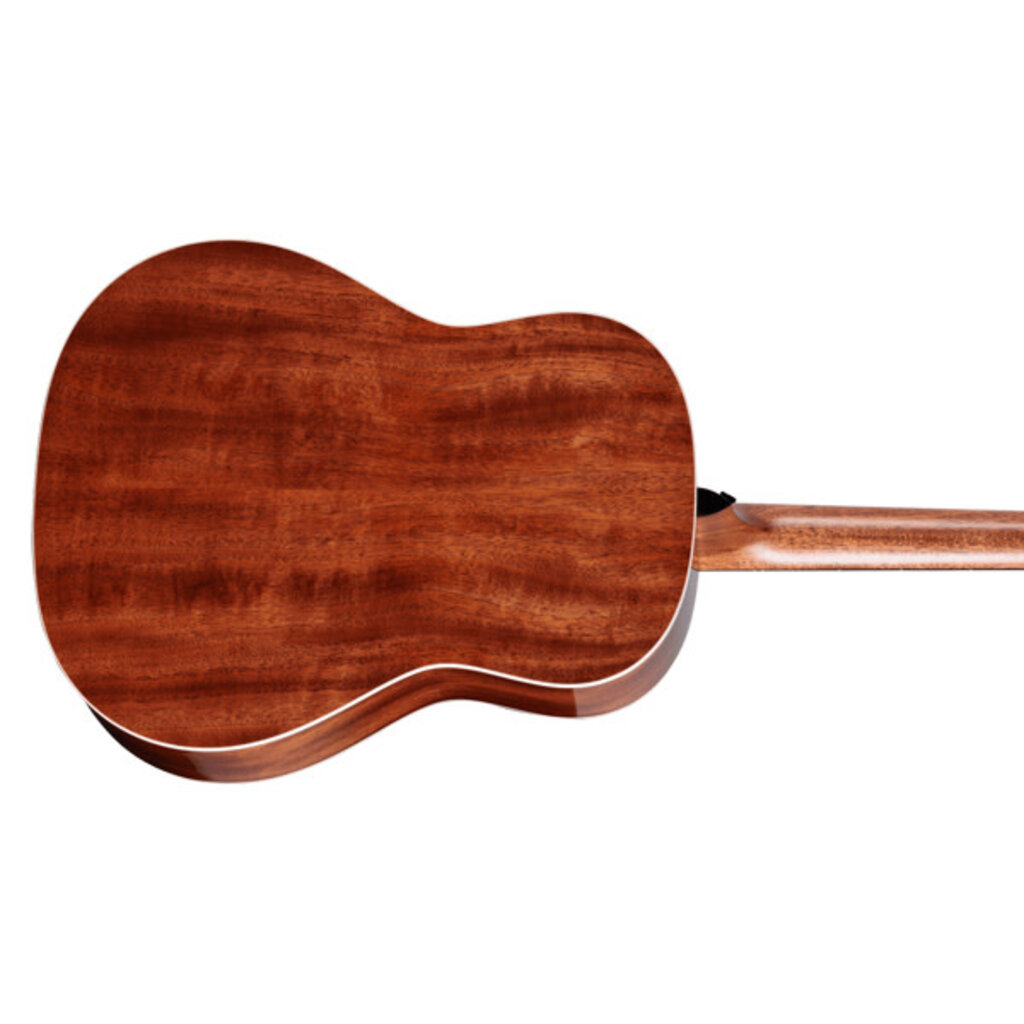 Taylor Guitars Taylor Gold Label 517e