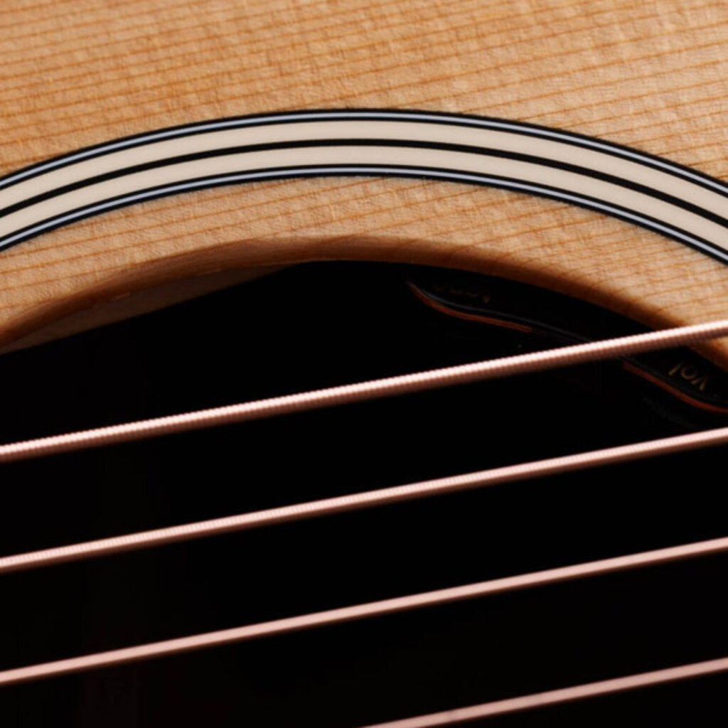 Taylor Guitars Taylor Gold Label 517e