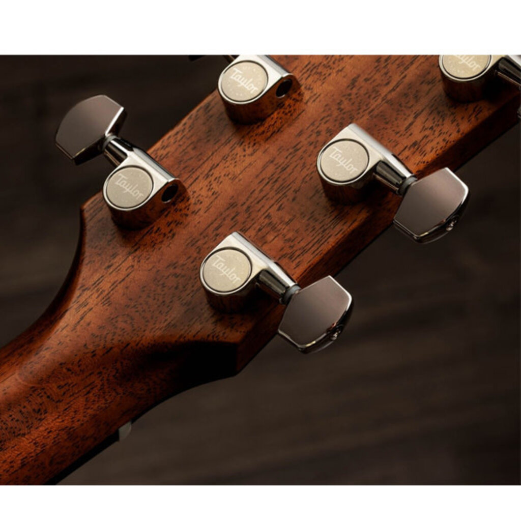 Taylor Guitars Taylor Gold Label 517e