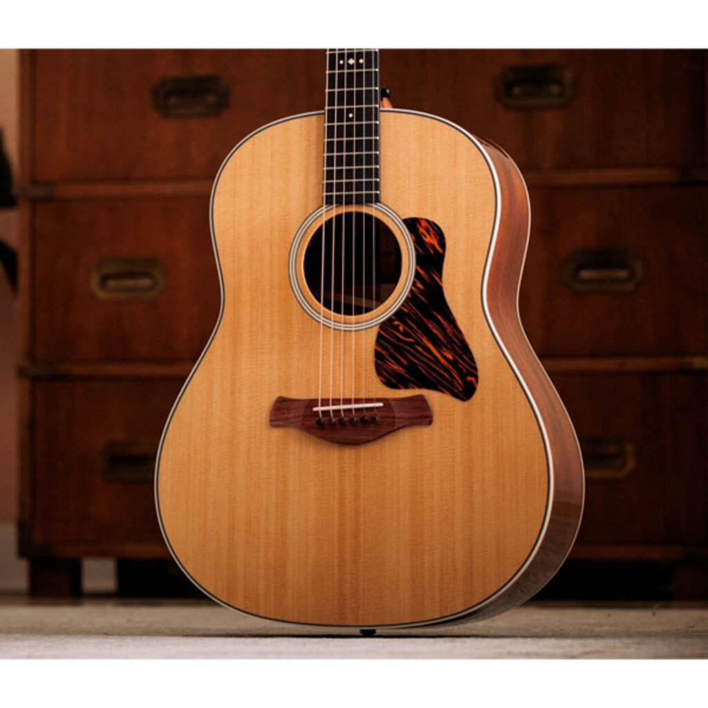 Taylor Guitars Taylor Gold Label 517e