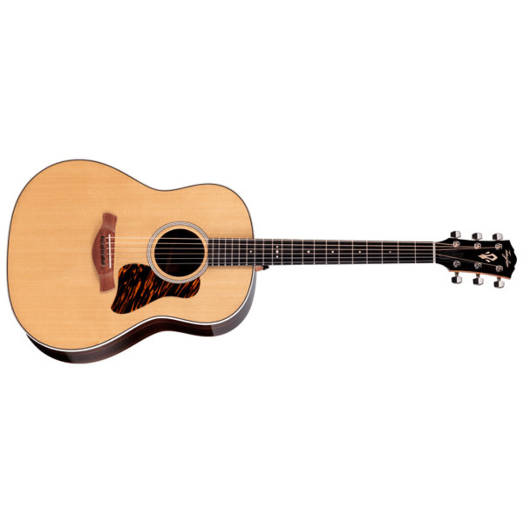 Taylor Guitars Taylor Gold Label 717e