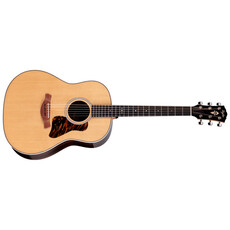Taylor Guitars Taylor Gold Label 717e