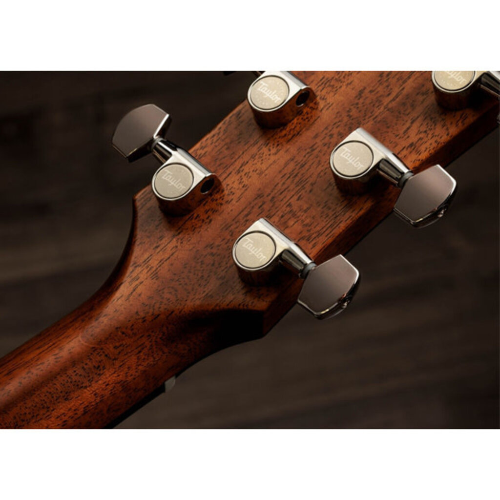 Taylor Guitars Taylor Gold Label 717e