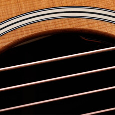 Taylor Guitars Taylor Gold Label 717e Sunburst (Cream Pickguard)