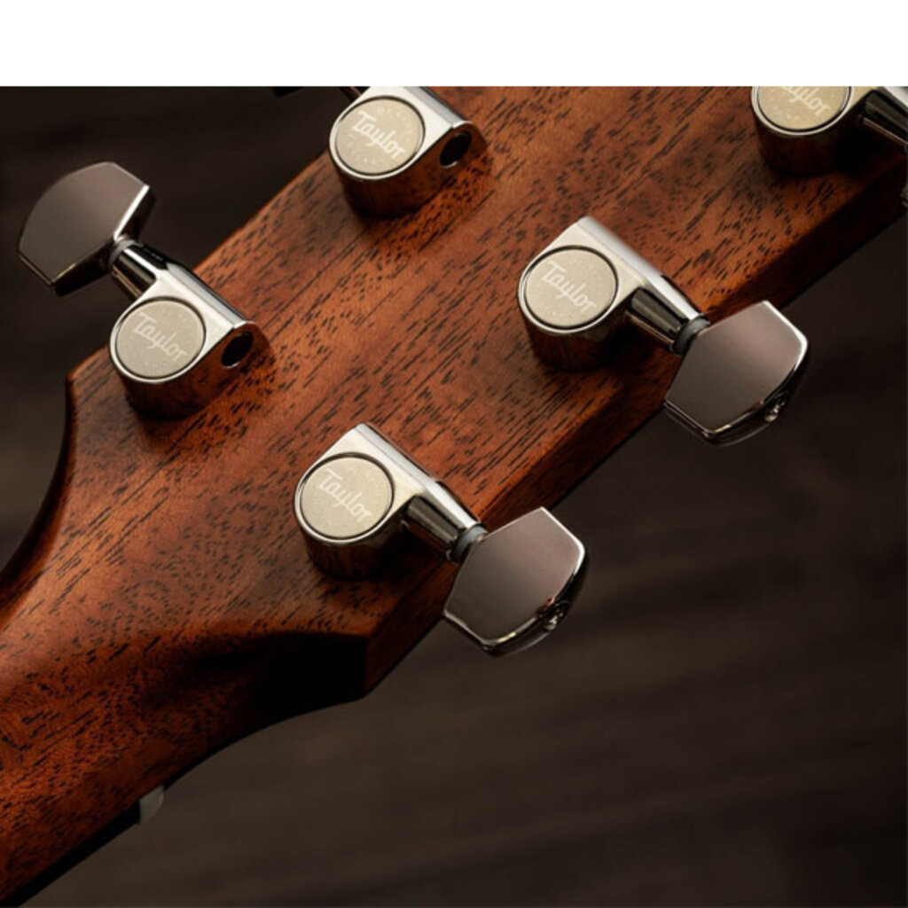 Taylor Guitars Taylor Gold Label 717e Sunburst (Cream Pickguard)