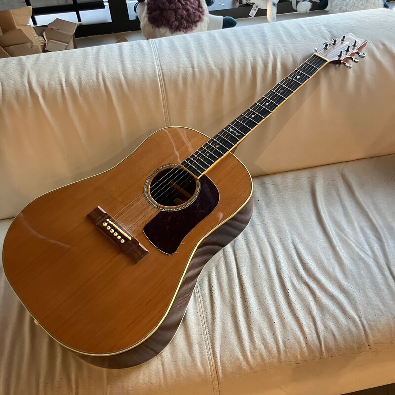 Consignment/Used Washburn SJ-28S w/Gig Bag