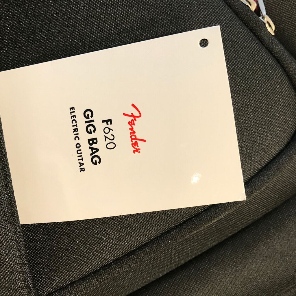 Consignment /Used Fender 620 Deluxe Professional Gig Bag Electric