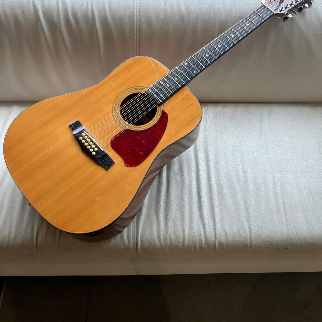 Consignment/Used Ibanez PF512NT 12-String