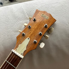 Consignment/Used Truetone Electric guitar - Red Burst 60's