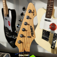 Consignment/Used Peavey Raptor Plus Electric Guitar w / Bag