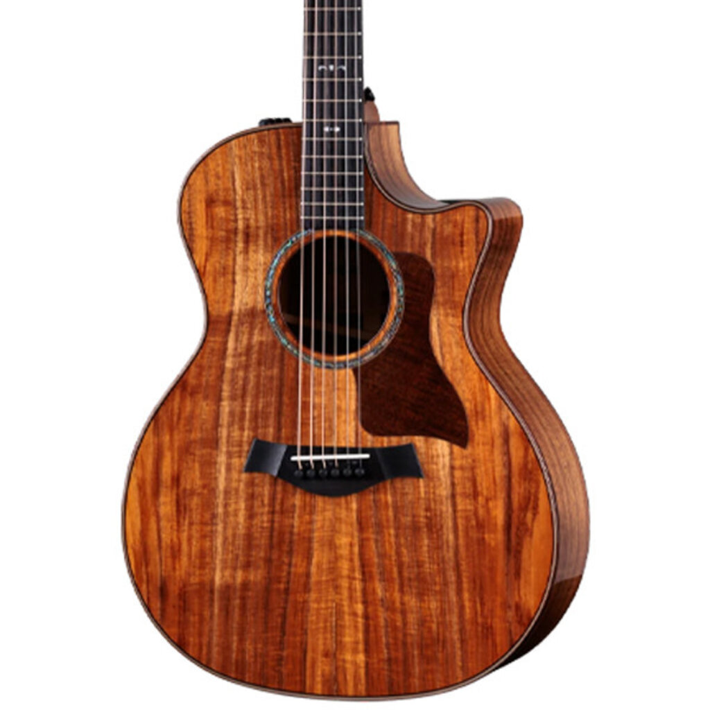 Taylor Guitars Taylor 724ce Acoustic