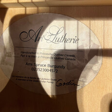 Consignment/Used Art and Lutherie Ami w/Gig Bag