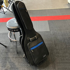 Consignment/Used Art and Lutherie Ami w/Gig Bag