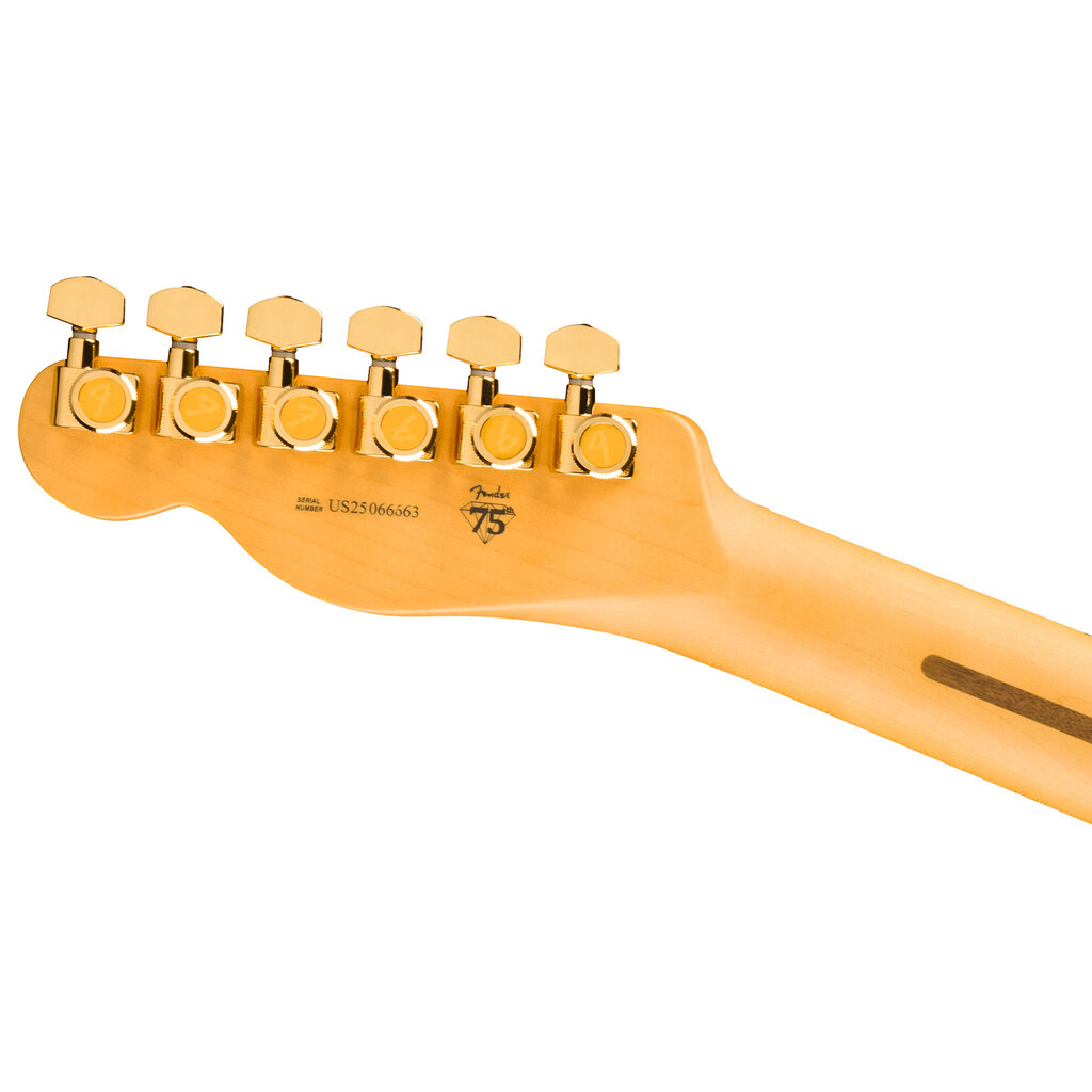 Fender Fender 75th Anniversary American Professional Custom Telecaster