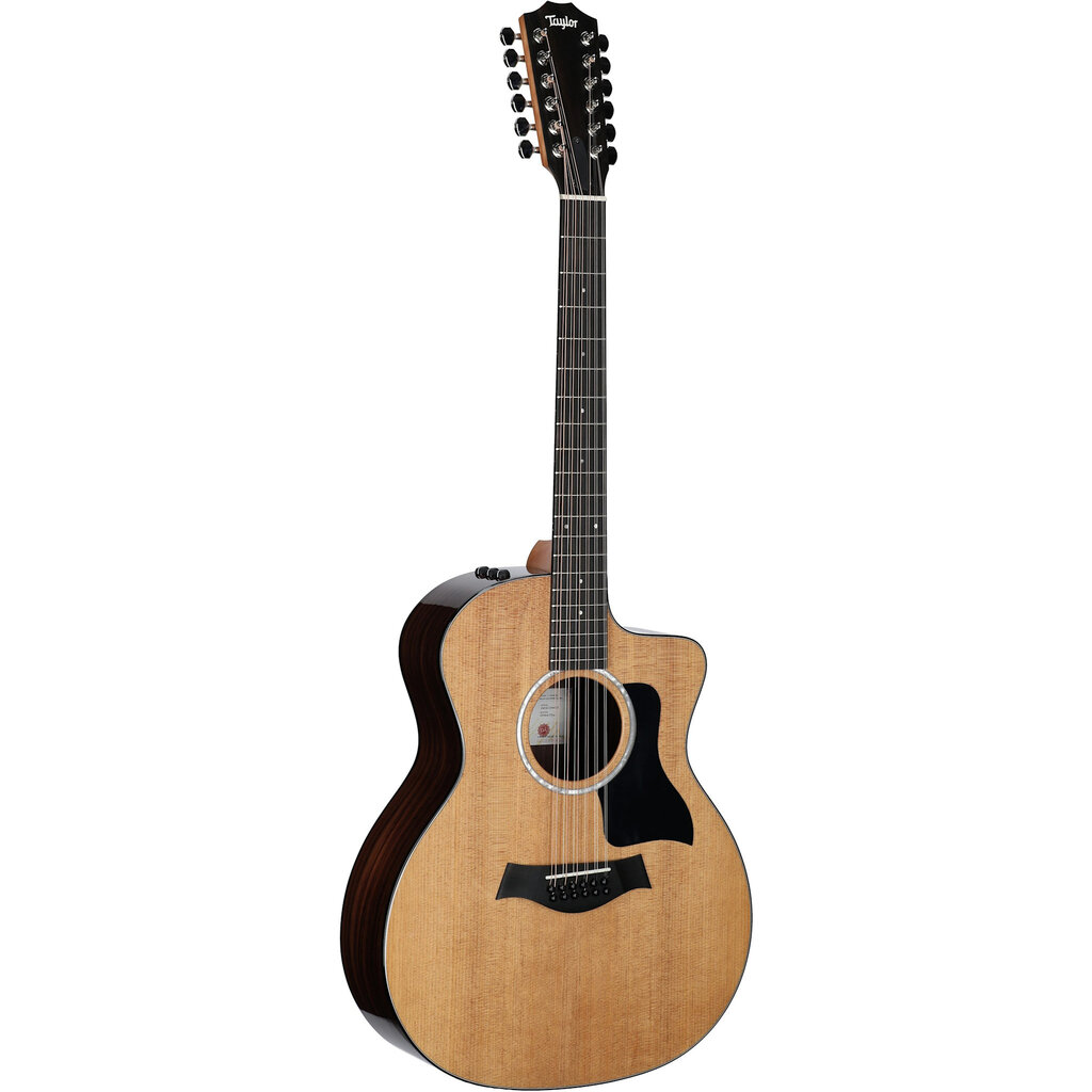 Taylor Guitars Taylor 254ce Plus 12-String