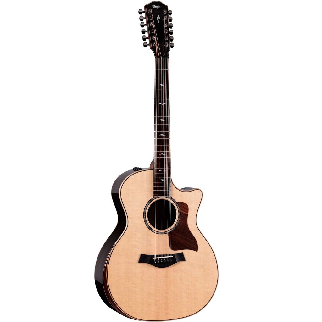 Taylor Guitars Taylor 854ce Plus Next Gen 12-String