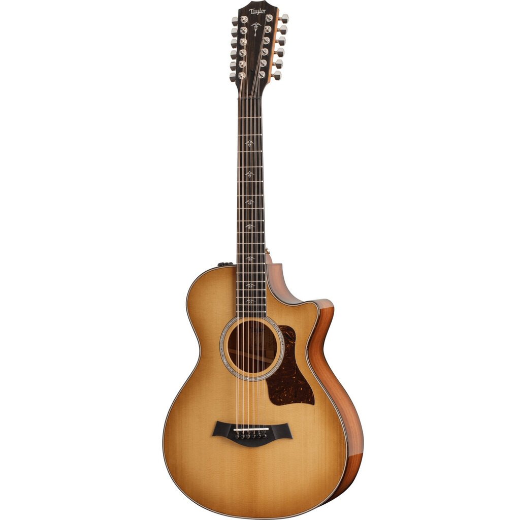 Taylor Guitars Taylor 552ce Plus 12-String
