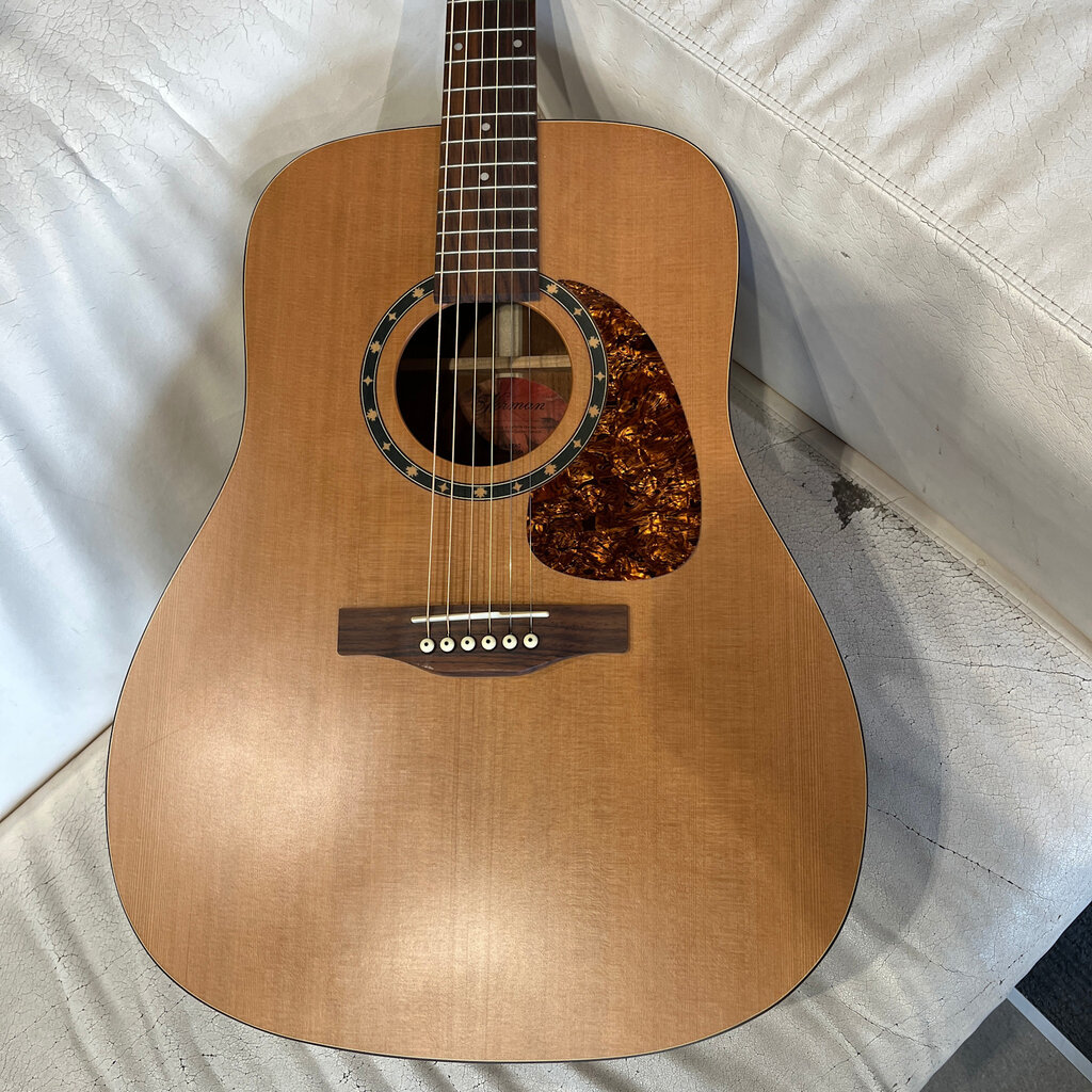 Consignment/Used Norman ST40 Acoustic w/HS case & stand