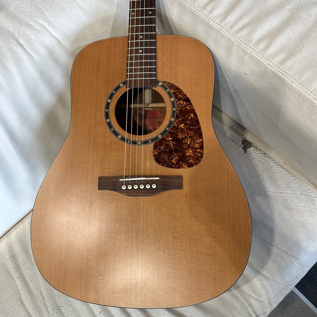 Used/Consignment Norman ST40 Acoustic w/HS case & stand