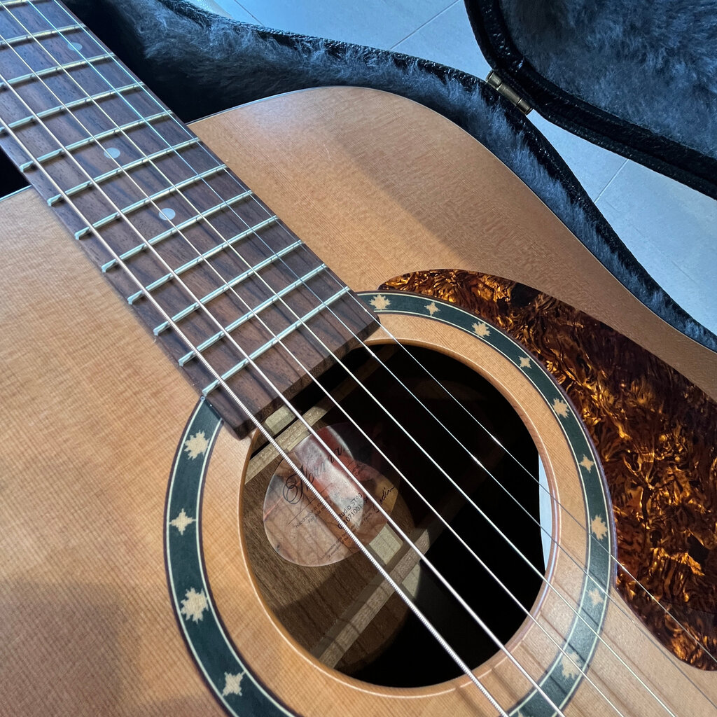 Used/Consignment Norman ST40 Acoustic w/HS case & stand