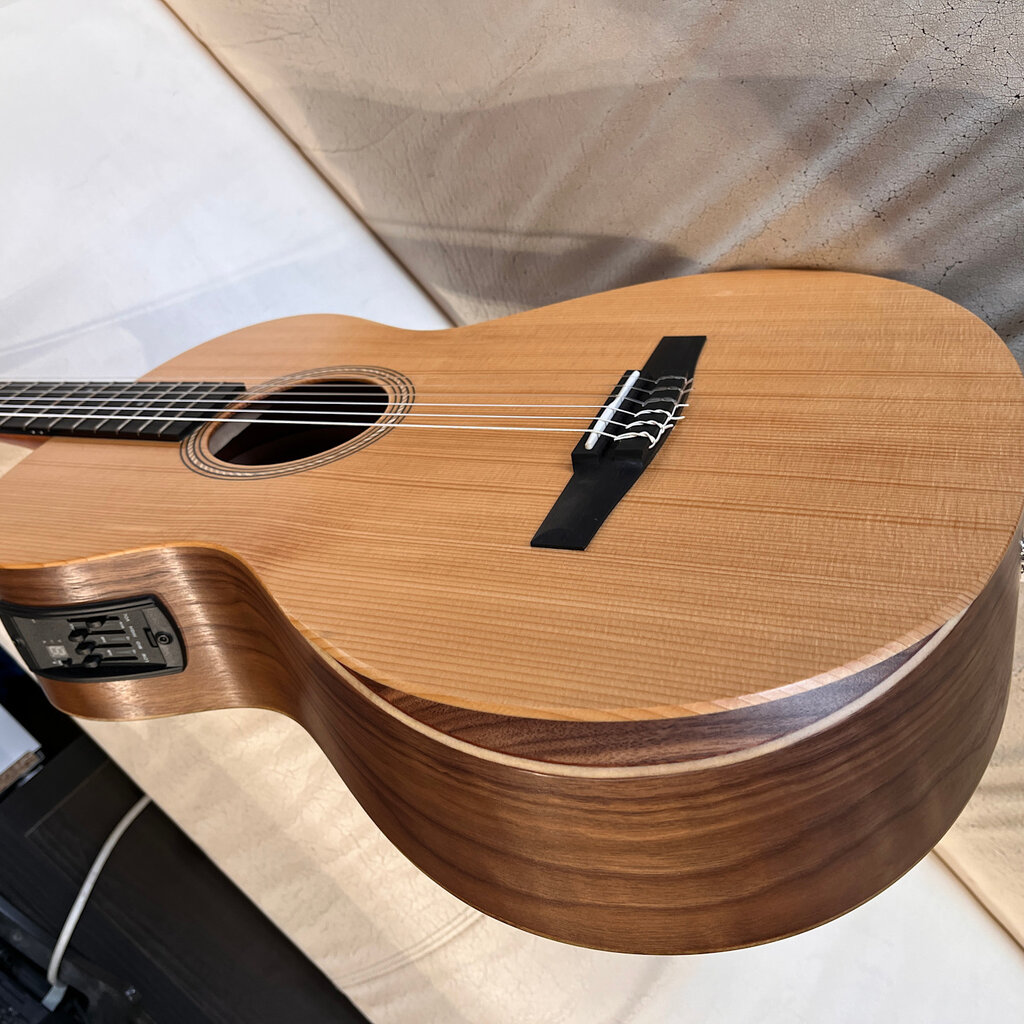 Taylor Guitars Taylor Academy A12e-N Acoustic Guitar